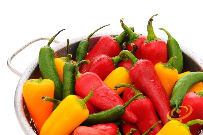 Pepper (Hot) - Serrano Tampiqueno 🔥🔥 4 Pepper (Hot) - Serrano Tampiqueno 🔥🔥 - Image 2