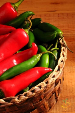 Pepper (Hot) - Serrano Tampiqueno 🔥🔥 10 Pepper (Hot) - Serrano Tampiqueno 🔥🔥 -Speed now 700xshutterstock 72328873