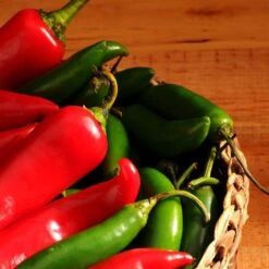 Pepper (Hot) - Serrano Tampiqueno π₯π₯