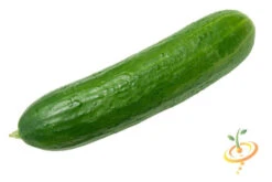 Cucumber - Marketmore -Speed now 700xshutterstock 82642027