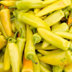 Pepper (Hot) - Hungarian Hot Wax 🔥