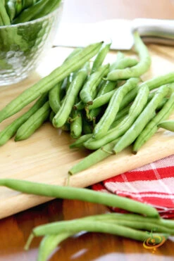 Bean, Bush - Contender -Speed now 700xshutterstock 86166364