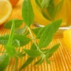 Mint - Lemon -Speed now 700xshutterstock 86560045 700x e16b000c b44c 43b8 8196 e5bb928af1cd