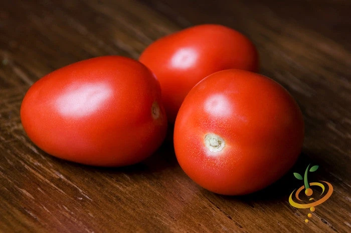 Tomato - Roma (Determinate) 4 Tomato - Roma (Determinate) - Image 2