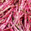 Bean, Bush - Borlotti -Speed now 700xshutterstock 95261911 700x 37547d02 6911 4f2f 95bb e02cfbc5b510