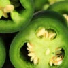 Pepper (Hot) - Jalapeño, Green 🔥🔥 1 Pepper (Hot) - Jalapeño, Green 🔥🔥 -Speed now 700xshutterstock 96640660 700x 78c2352a ceef 4687 ae0d 9dc53d133f2b
