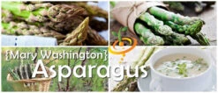 Asparagus - Mary Washington (Seeds) -Speed now Asparagus