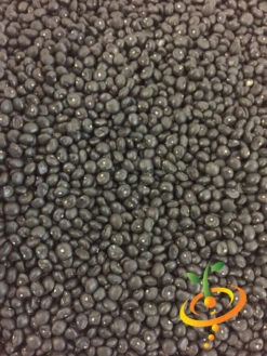 Asparagus - Mary Washington (Seeds) -Speed now Asparagus Mary Washington seeds 2