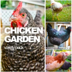 All-in-One Chicken Garden Variety Pack