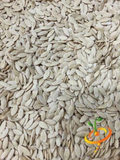 Cucumber - Space Master 18 Cucumber - Space Master -Speed now Cucumber Space Master 4