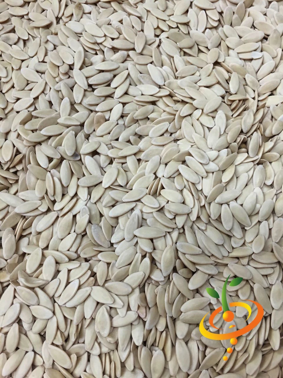 Cucumber - Space Master 9 Cucumber - Space Master - Image 7