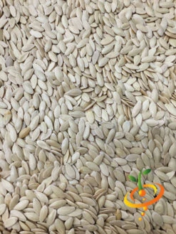 Cucumber - Straight 8 19 Cucumber - Straight 8 -Speed now Cucumber Straight 8 4