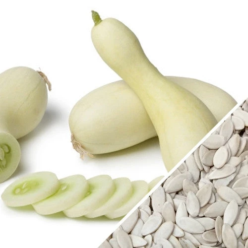 Cucumber - White Wonder 9 Cucumber - White Wonder - Image 7