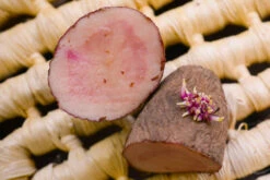 Potato (Late-Season) Fingerling - Red Thumb (Organic/Heirloom) 16 Potato (Late-Season) Fingerling - Red Thumb (Organic/Heirloom) -Speed now DSC 3883