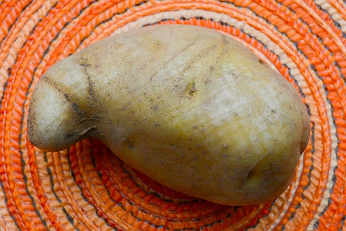 Potato (Early Season) - Cal White 5 Potato (Early Season) - Cal White - Image 3