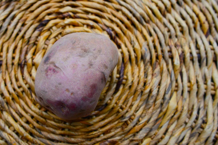 Potato (Mid-Season) - Norland, Dark Red (ORGANIC) 5 Potato (Mid-Season) - Norland, Dark Red (ORGANIC) - Image 3