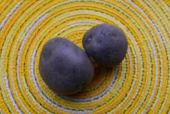 Potato (Mid-Season) - Purple Majesty (ORGANIC) -Speed now DSC 9550