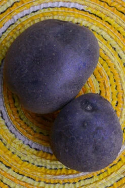Potato (Mid-Season) - Purple Majesty (ORGANIC) -Speed now DSC 9552