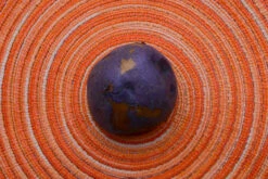 Potato (Mid-Season) - Huckleberry Gold (ORGANIC) -Speed now DSC 9556