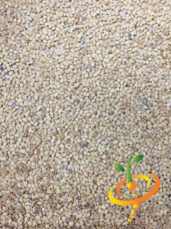 Eggplant - Round Mauve 22 Eggplant - Round Mauve -Speed now Eggplant Round Mauve seeds 4