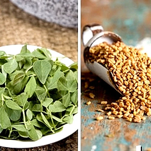 Fenugreek 3 Fenugreek