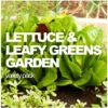 All-in-One Lettuce & Leafy Greens Variety Pack 1 All-in-One Lettuce & Leafy Greens Variety Pack -Speed now LETS 3a098c1c 3f71 4a22 b93d b8584cd5221c