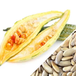 Melon - Banana -Speed now Melon Banana seeds