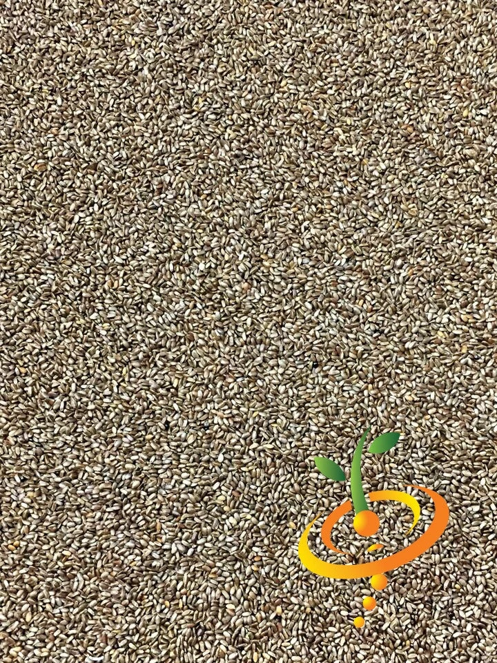 Mint - Lemon 11 Mint - Lemon - Image 9