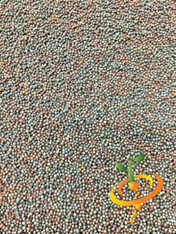 Mustard - Mizuna 20 Mustard - Mizuna -Speed now Mustard Mizuna seeds 2