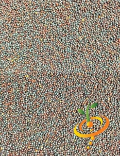 Mustard - Old Fashion 21 Mustard - Old Fashion -Speed now Mustard Old Fashion seeds c83ab5cc 14fa 4e1a a13f 39deef14c087