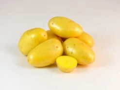 Potato, Fingerling (Early-Season) - Noelle