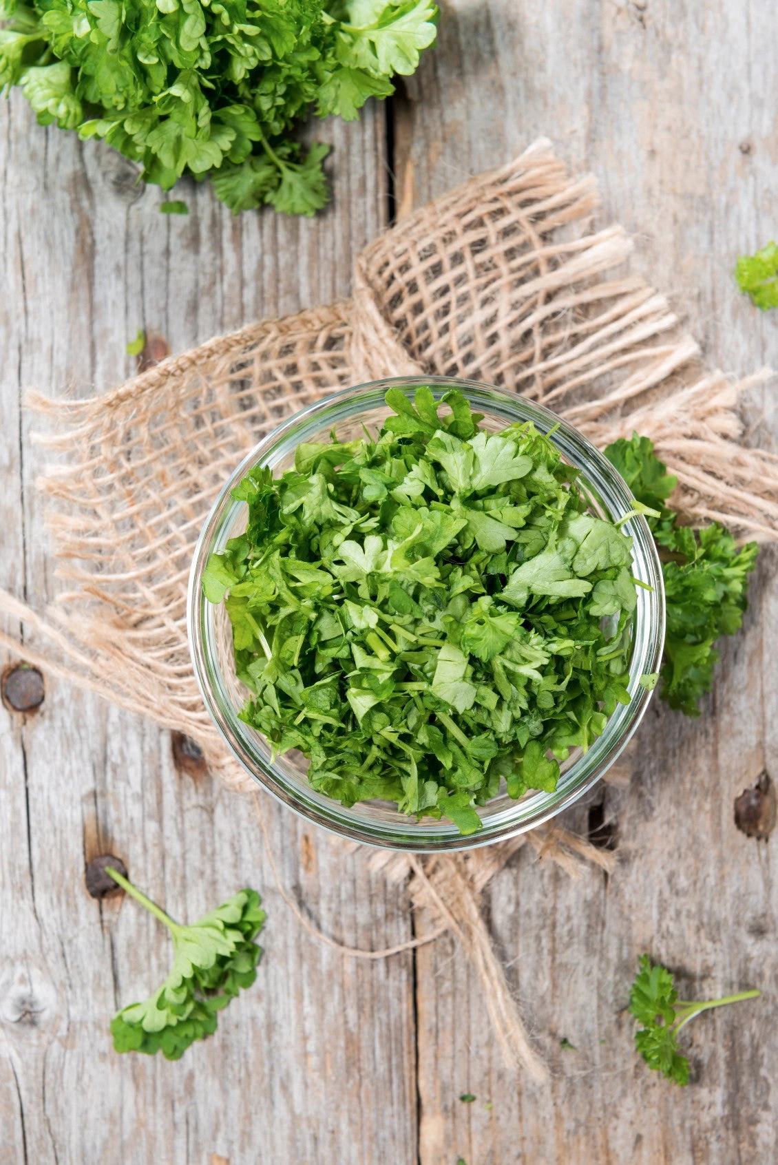 Parsley - Evergreen 8 Parsley - Evergreen - Image 6