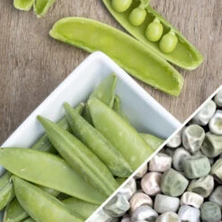 Pea (Snap) - Sugar Ann -Speed now Pea Sugar Ann seeds b50dbf43 8a2f 4fea b1bd 0712ffbcfc51