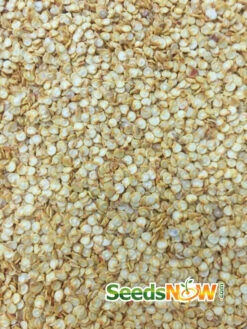 Pepper (Hot) - Habanero, Red Caribbean 🔥🔥🔥🔥🔥 16 Pepper (Hot) - Habanero, Red Caribbean 🔥🔥🔥🔥🔥 -Speed now Pepper Habanero Red Caribbean seeds 2