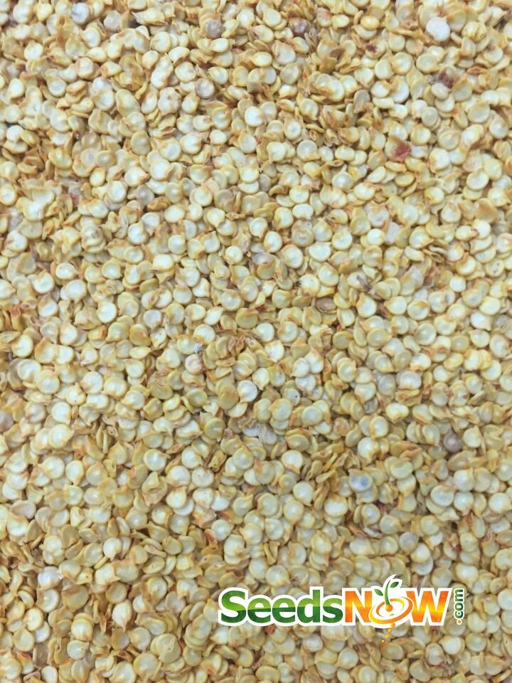 Pepper (Hot) - Habanero, Red Caribbean 🔥🔥🔥🔥🔥 9 Pepper (Hot) - Habanero, Red Caribbean 🔥🔥🔥🔥🔥 - Image 7