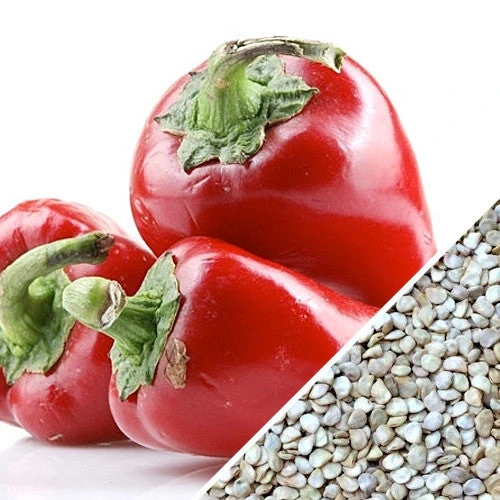 Pepper (Hot) - Thai π₯π₯π₯ 7 Pepper (Hot) - Thai π₯π₯π₯ - Image 5