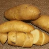 Potato, Fingerling (Late-Season) - Austrian Crescent (Organic/Heirloom) -Speed now Potato Fingerling Austrian Crescent Organic Heirloom