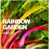 All-in-One Rainbow Garden Variety Pack -Speed now RAINBOW f6be4ee1 fd6a 4733 a3c0 cc5f15a767ed