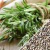 Rosemary 1 Rosemary -Speed now Rosemary seeds d05ad21b 410c 4a4f 893d 980c25a51880