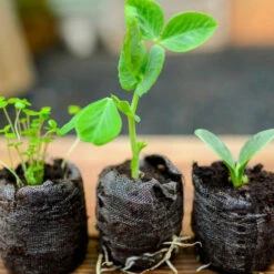 ALL-in-ONE MEGA Seed Bank -Speed now RucQRcba0Taf9do9gyNnqTI7216nw2x aKkipAVVNNI YSl3GBc5sh0Mhvmunx4ConTswJJzCM5OT3XWE63CwqQ Gvj0aF5A6Me25VJL48xhrbdZMYF1E3NONUetDBS314c 50RRv9SDUih6Sup9cyLUqiaRtrBI64DNRF8QpJyq168 MlIfvXH