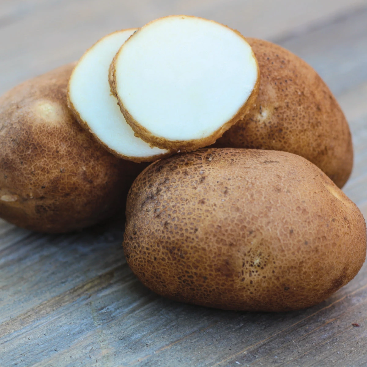 Potato (Mid-Season) - Russet Norkotah