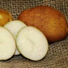 Potato (Mid-Season) - Russet Burbank (ORGANIC) -Speed now Russet Burbank Potato seeds