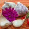 Garlic - (Soft Neck) Inchelium Red (Organic) 2 Garlic - (Soft Neck) Inchelium Red (Organic) -Speed now SAR 4618