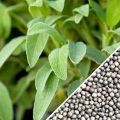 All-in-One Mosquito Repellent Garden Variety Pack 8 All-in-One Mosquito Repellent Garden Variety Pack - Image 7