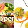 Pepper (Hot) - Scotch Bonnet, Yellow 🔥🔥🔥 -Speed now Scotch Bonnet Yellow Pepper