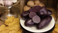 Potato (Late-Season) - Magic Molly (Organic/Heirloom) -Speed now Screen Shot 2018 11 02 at 8.41.35 AM