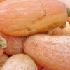 Squash (Winter) - Banana, Pink JUMBO -Speed now Squashpinkbananajumboseeds