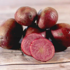 Potato (Late-Season) Fingerling - Terra Rosa