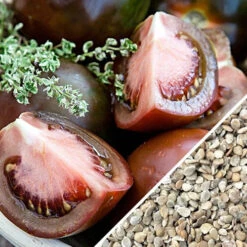 Tomato - Black Krim (Indeterminate) -Speed now Tomato Black Krim seeds 8d806704 ddb9 4094 bb0f 7bbd375e4e4e