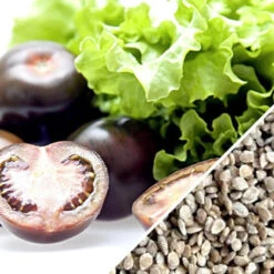 Tomato - Cherry, Black (Indeterminate) -Speed now Tomato Cherry Black seeds now